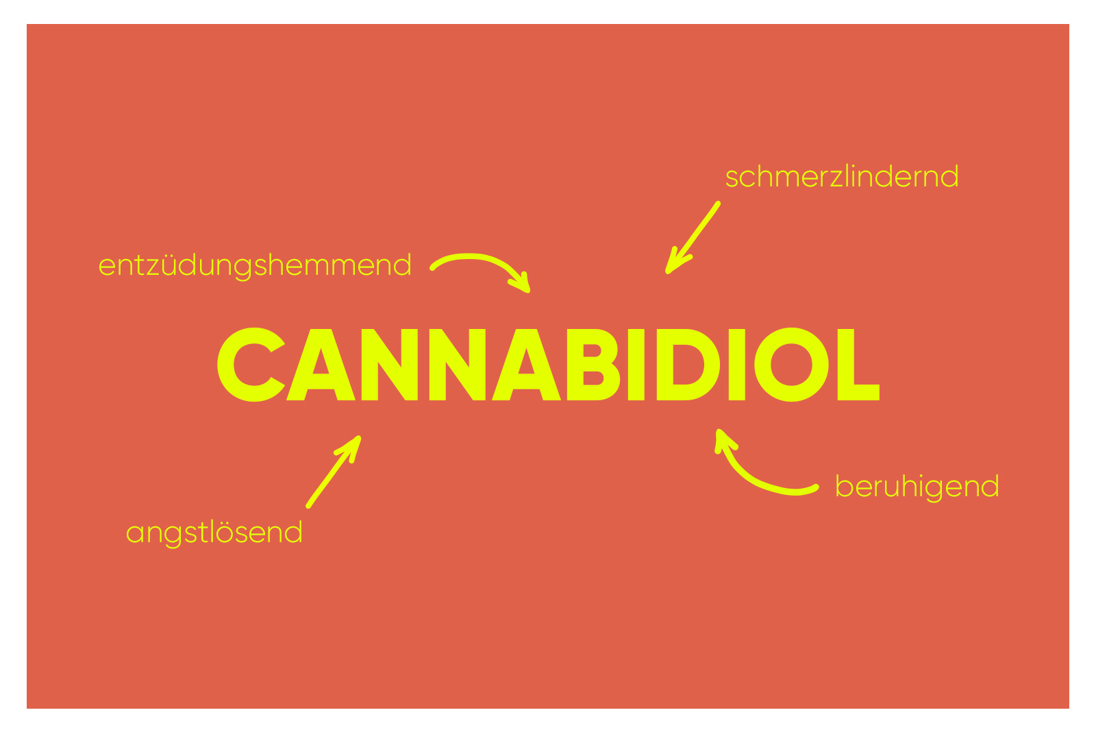 Das Wichtigste über Cannabidiol (CBD)