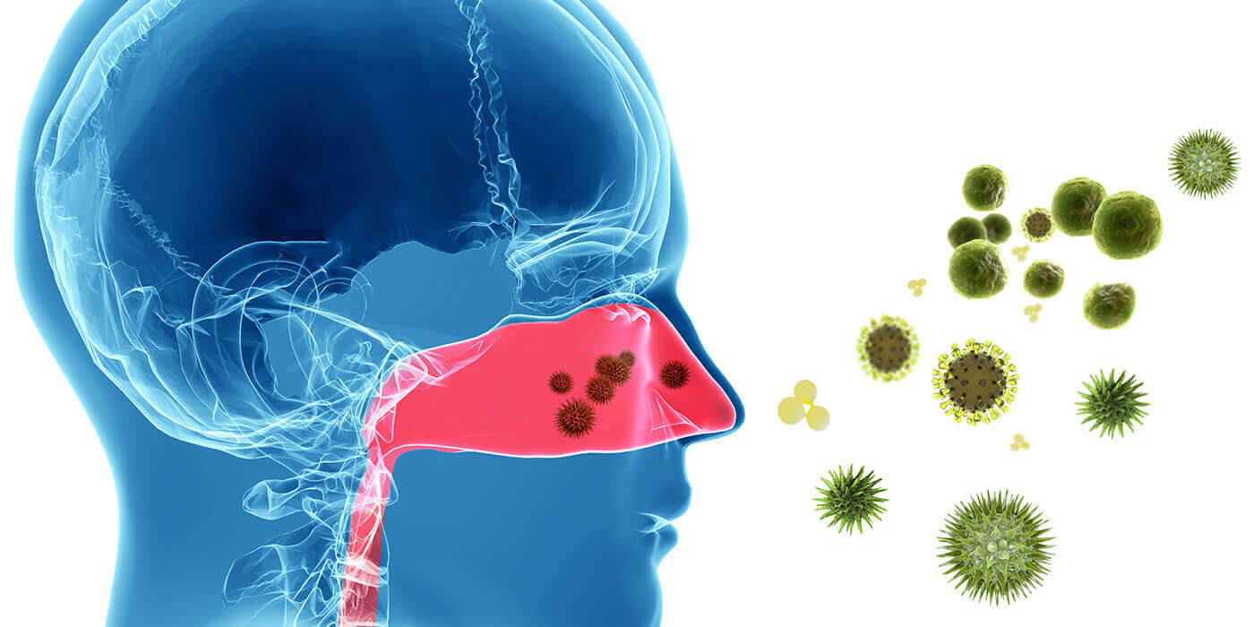 Wie Cannabinoide bei der Allergie-Behandlung helfen können