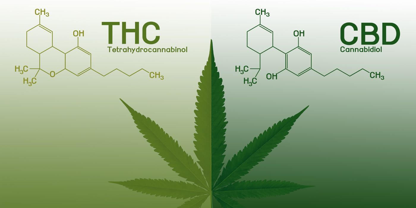 Was unterscheidet THC von CBD?