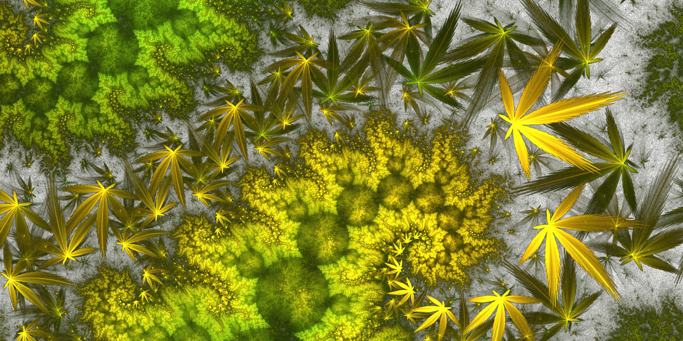 Cannabidiol in der Geschichte