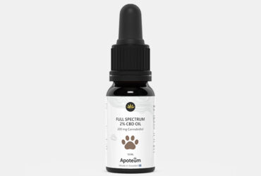 apoteum_pet_2.jpg