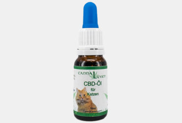 cannaleven_katze.jpg