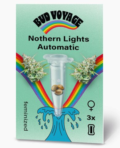 Bud Voyage Northern Lights Automatic 3x