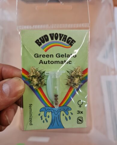 Bud Voyage Green Gelato Automatic 3x