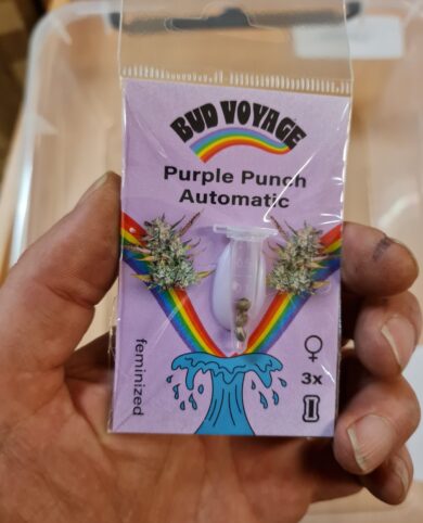 Bud Voyage Purple Punch Automatic 3x