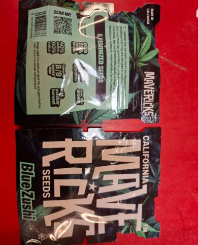 California Mavericks Blue Zushi 5x