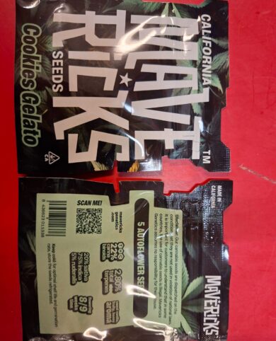 California Mavericks Gary Payton 5x