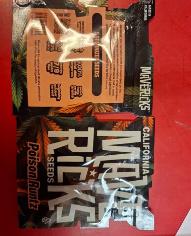 California Mavericks Grandiflora Guava 5x