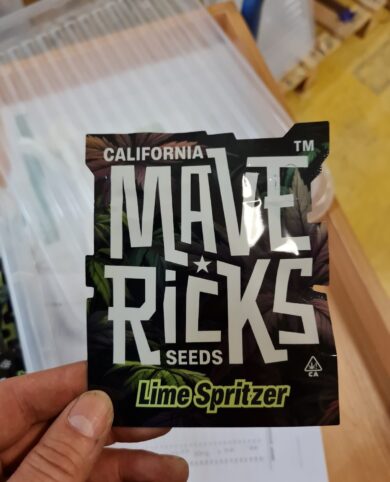 California Mavericks Lime Spritzer 5x