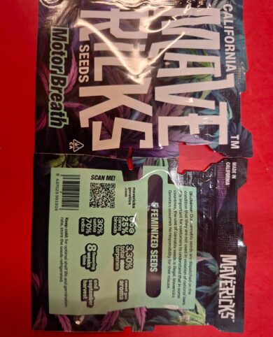 California Mavericks Motor Breath 5x