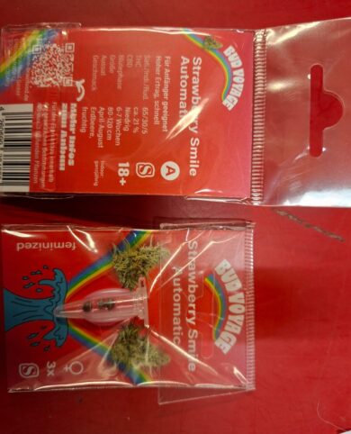 California Mavericks Permanent Marker 5x