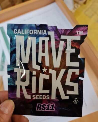 California Mavericks RS11 Feminized