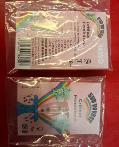 RAW Dominoes Spielset (Set of 28)