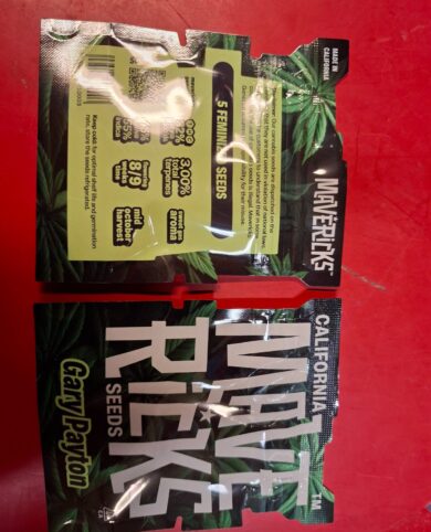 Sweedz Biscotti Cannabis Seeds